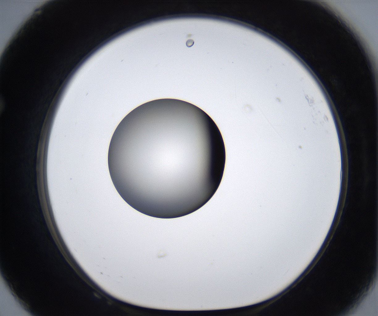 folderID285_plateID2285_batchID10813_wellNum68_profileID1_d1_r159761_ef.jpg