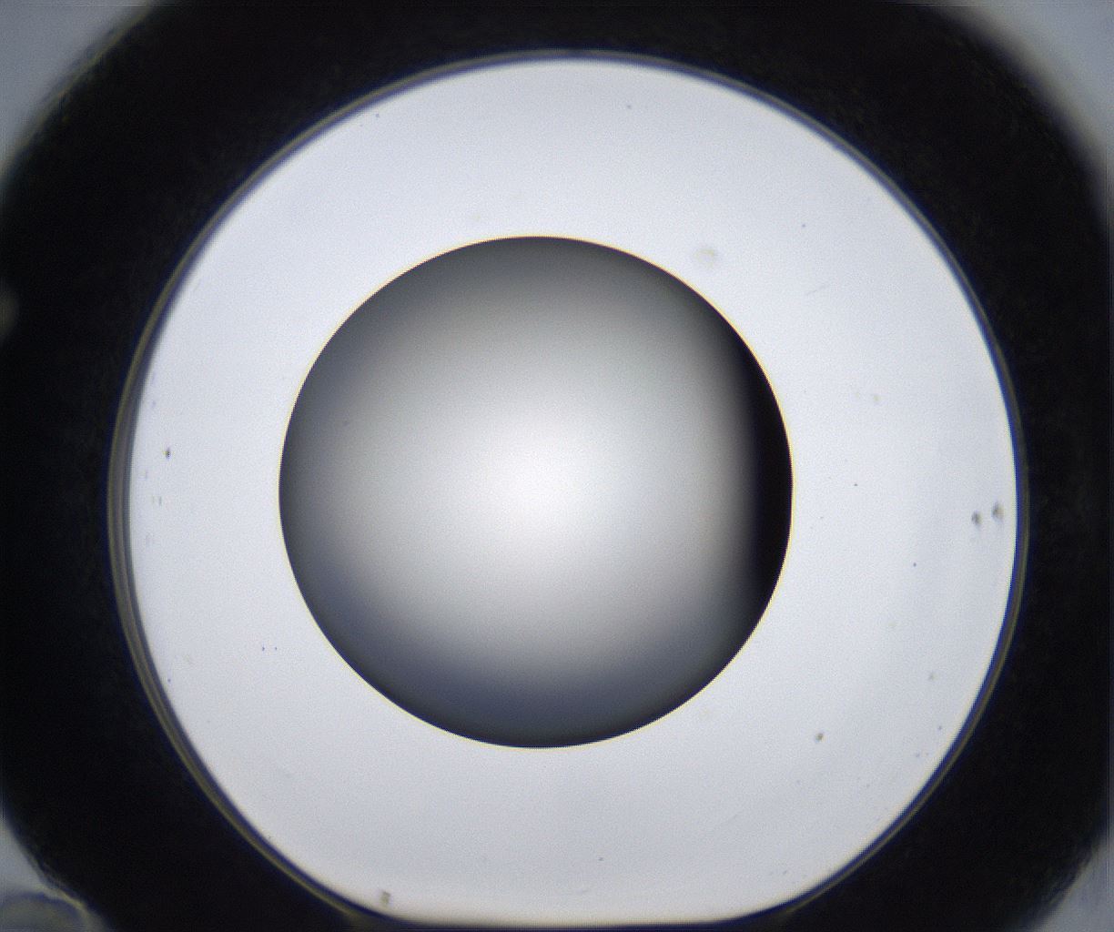 folderID285_plateID2285_batchID10813_wellNum70_profileID1_d1_r159763_ef.jpg