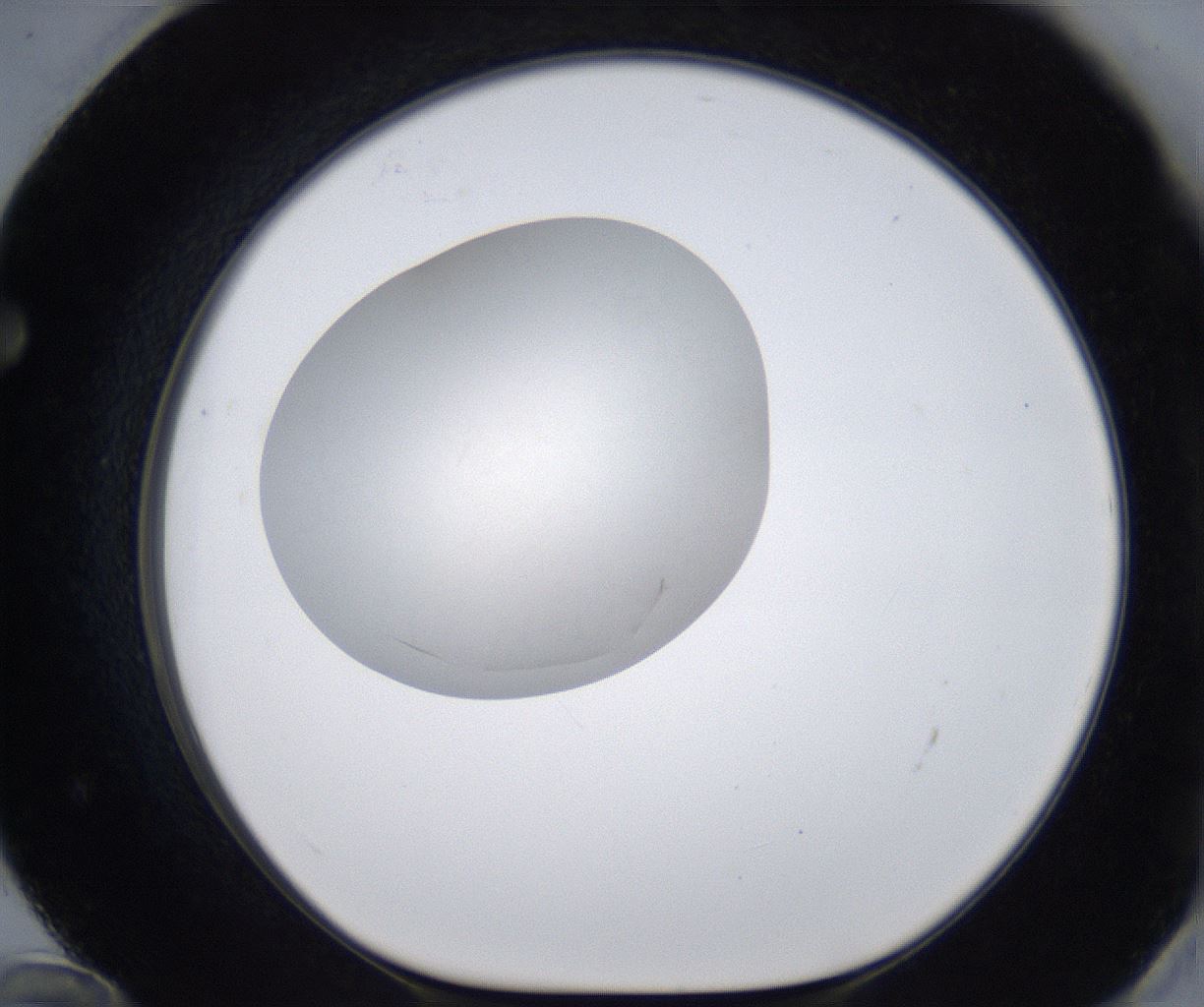 folderID285_plateID2285_batchID10813_wellNum72_profileID1_d1_r159765_ef.jpg
