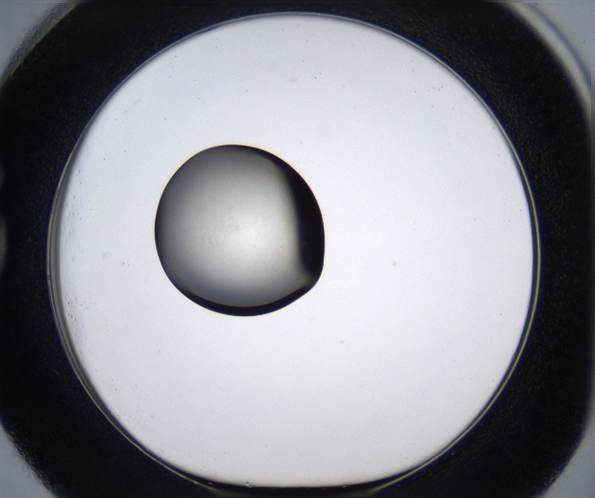 folderID285_plateID2285_batchID10813_wellNum73_profileID1_d1_r159766_ef.jpg