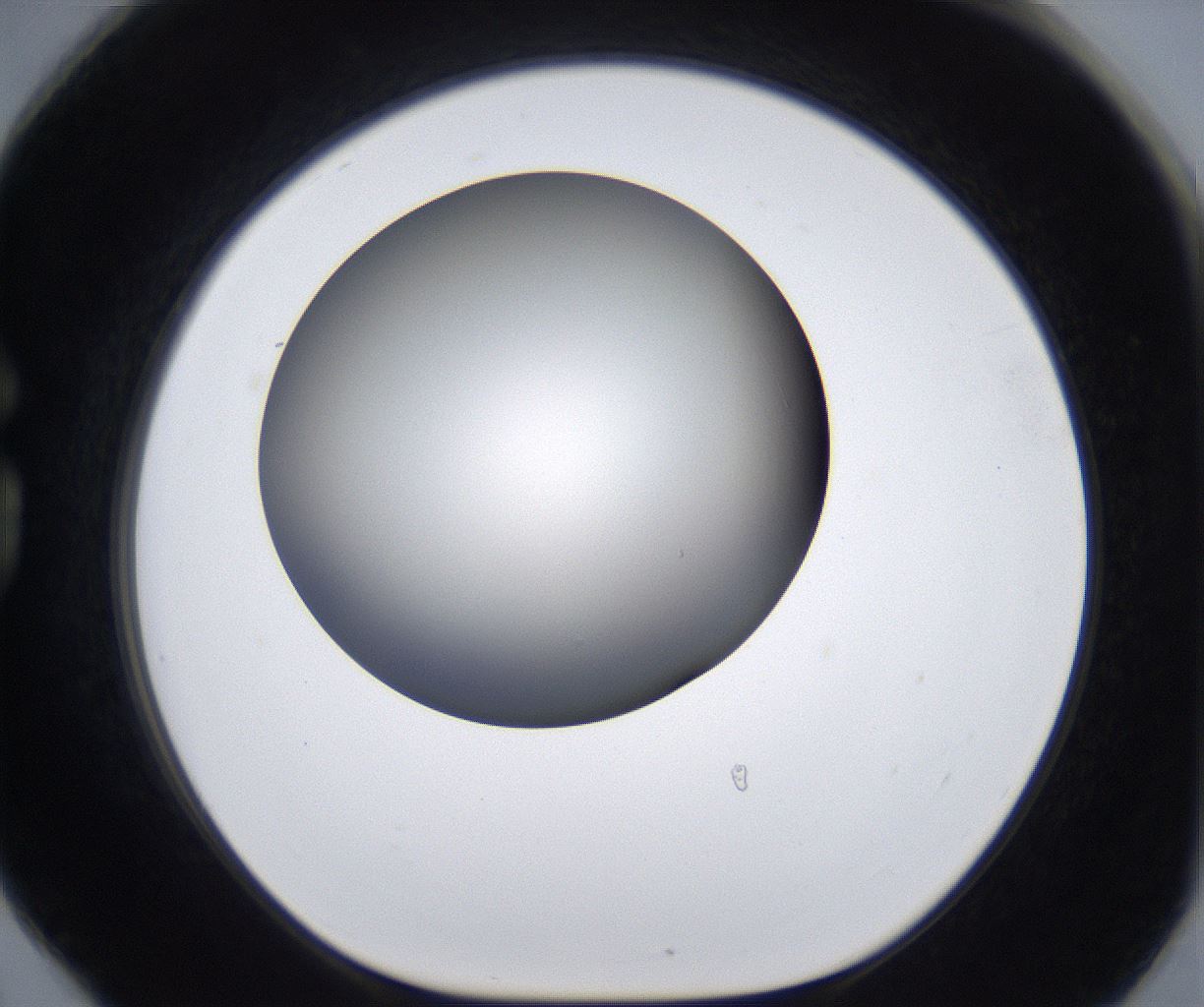 folderID285_plateID2285_batchID10813_wellNum78_profileID1_d1_r159771_ef.jpg