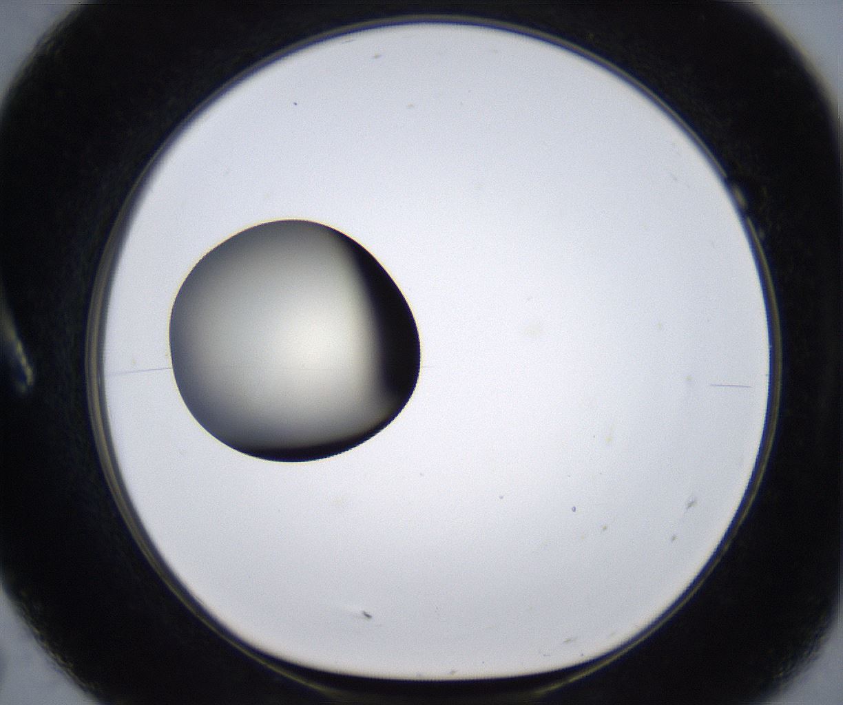 folderID285_plateID2285_batchID10813_wellNum7_profileID1_d1_r159700_ef.jpg