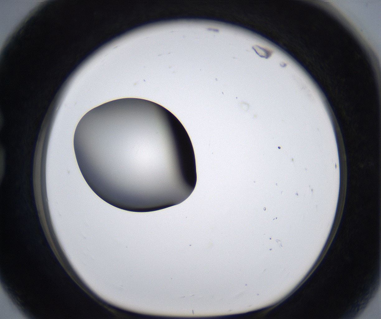 folderID285_plateID2285_batchID10813_wellNum80_profileID1_d1_r159773_ef.jpg
