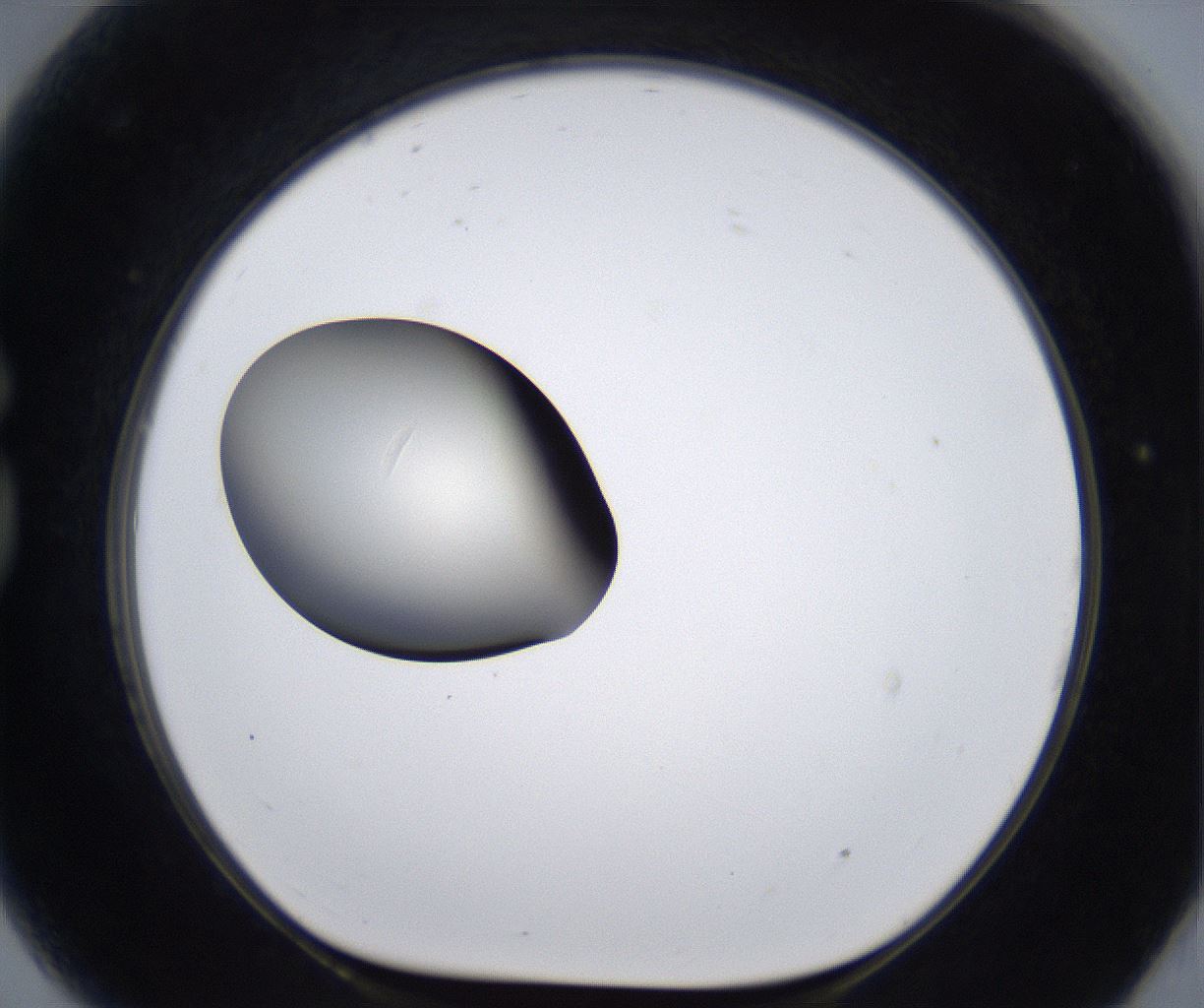 folderID285_plateID2285_batchID10813_wellNum81_profileID1_d1_r159774_ef.jpg