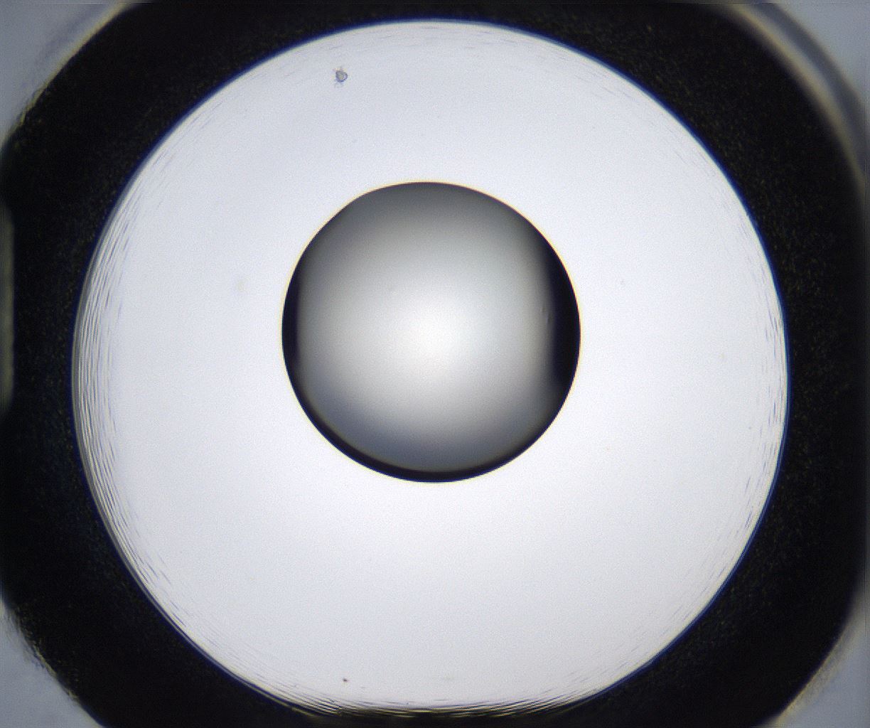 folderID285_plateID2285_batchID10813_wellNum85_profileID1_d1_r159778_ef.jpg