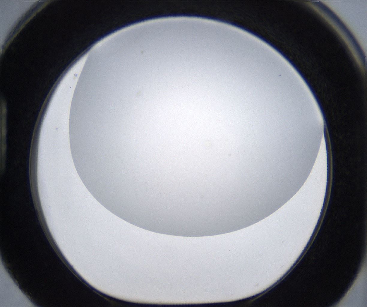 folderID285_plateID2285_batchID10813_wellNum88_profileID1_d1_r159781_ef.jpg