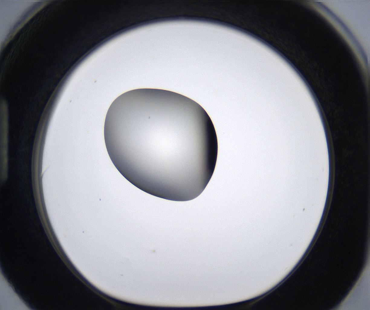 folderID285_plateID2285_batchID10813_wellNum90_profileID1_d1_r159783_ef.jpg