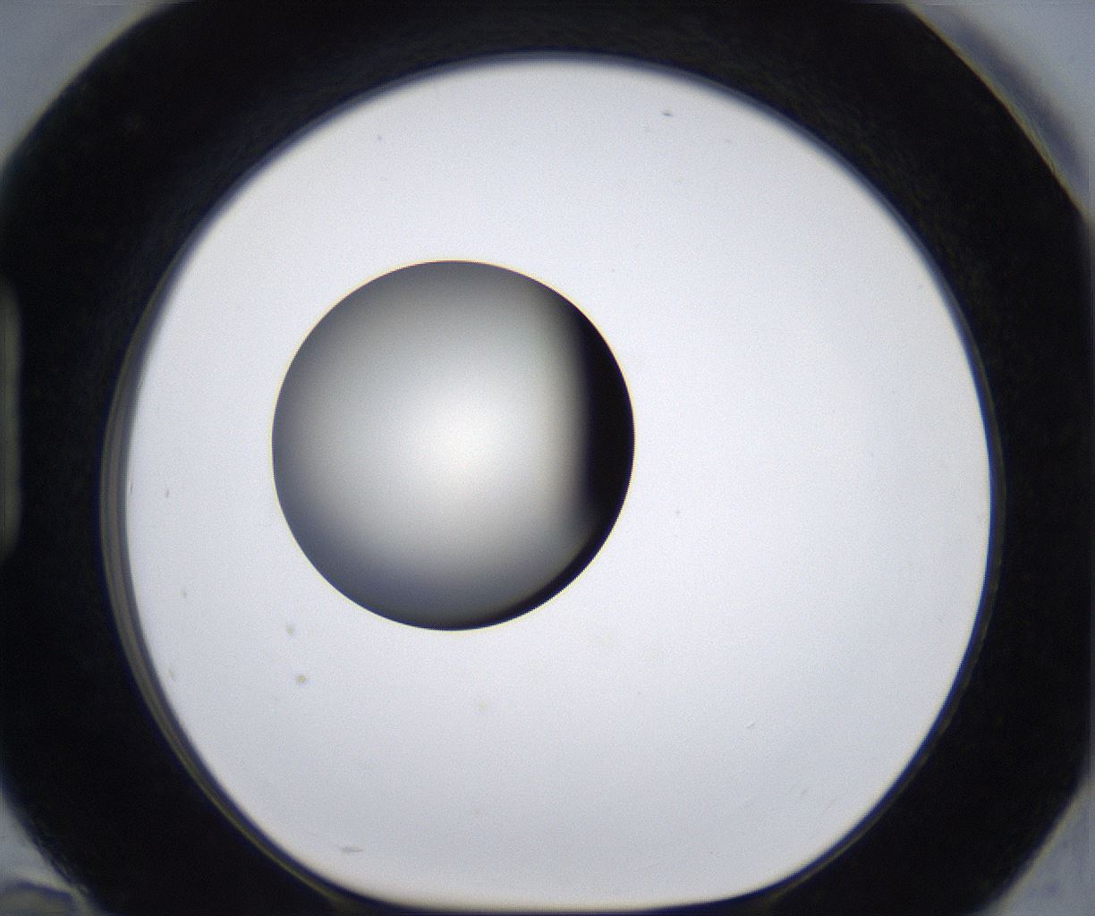 folderID285_plateID2285_batchID10813_wellNum94_profileID1_d1_r159787_ef.jpg