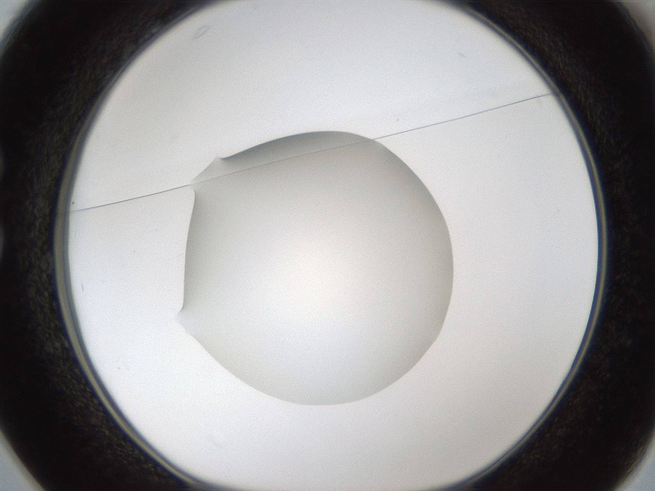 folderID286_plateID1286_batchID4278_wellNum25_profileID1_d1_r77584_ef.jpg