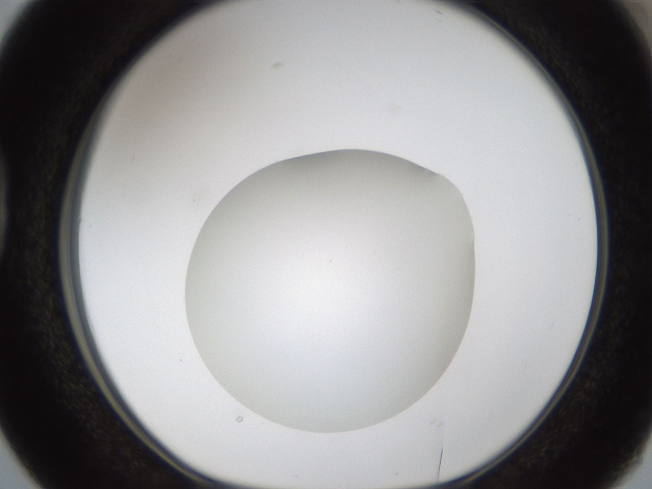 folderID286_plateID1286_batchID4278_wellNum38_profileID1_d1_r77597_ef.jpg