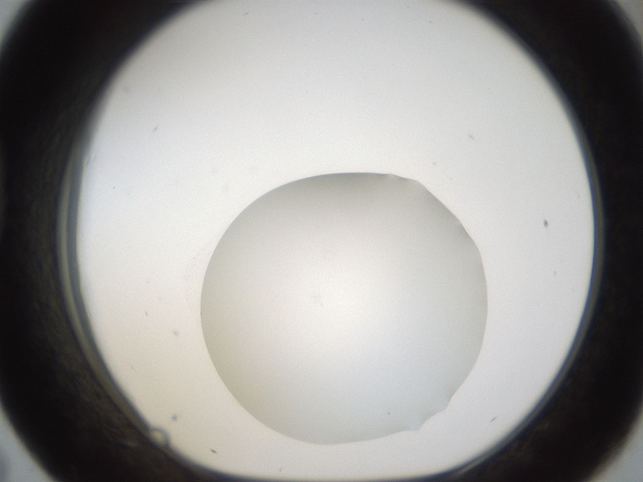 folderID286_plateID1286_batchID4278_wellNum43_profileID1_d1_r77602_ef.jpg