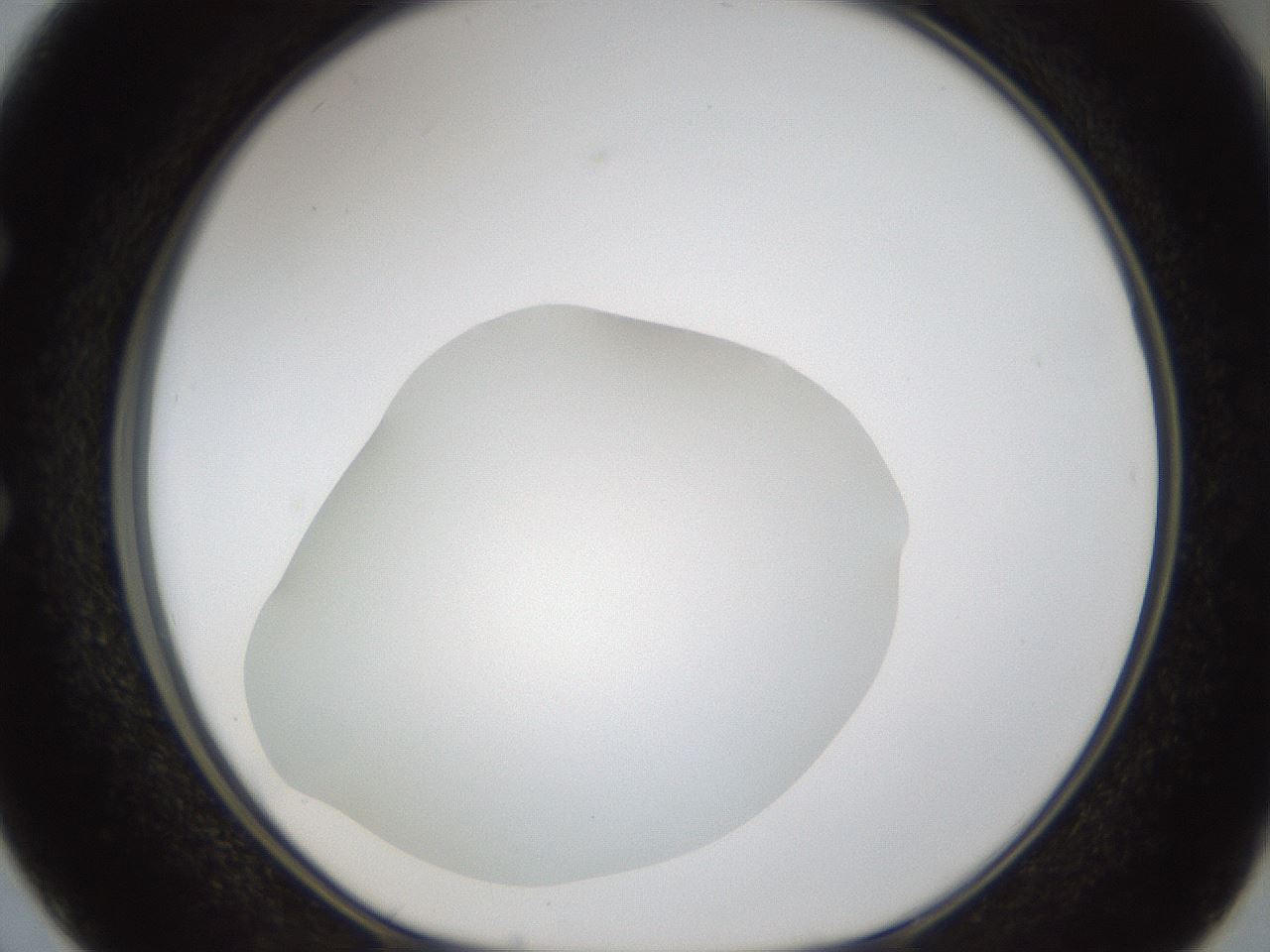 folderID286_plateID1286_batchID4278_wellNum50_profileID1_d1_r77609_ef.jpg