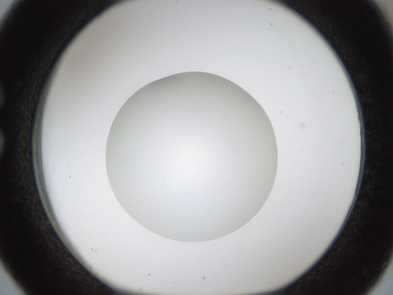 folderID286_plateID1286_batchID4278_wellNum26_profileID1_d1_r77585_ef.jpg