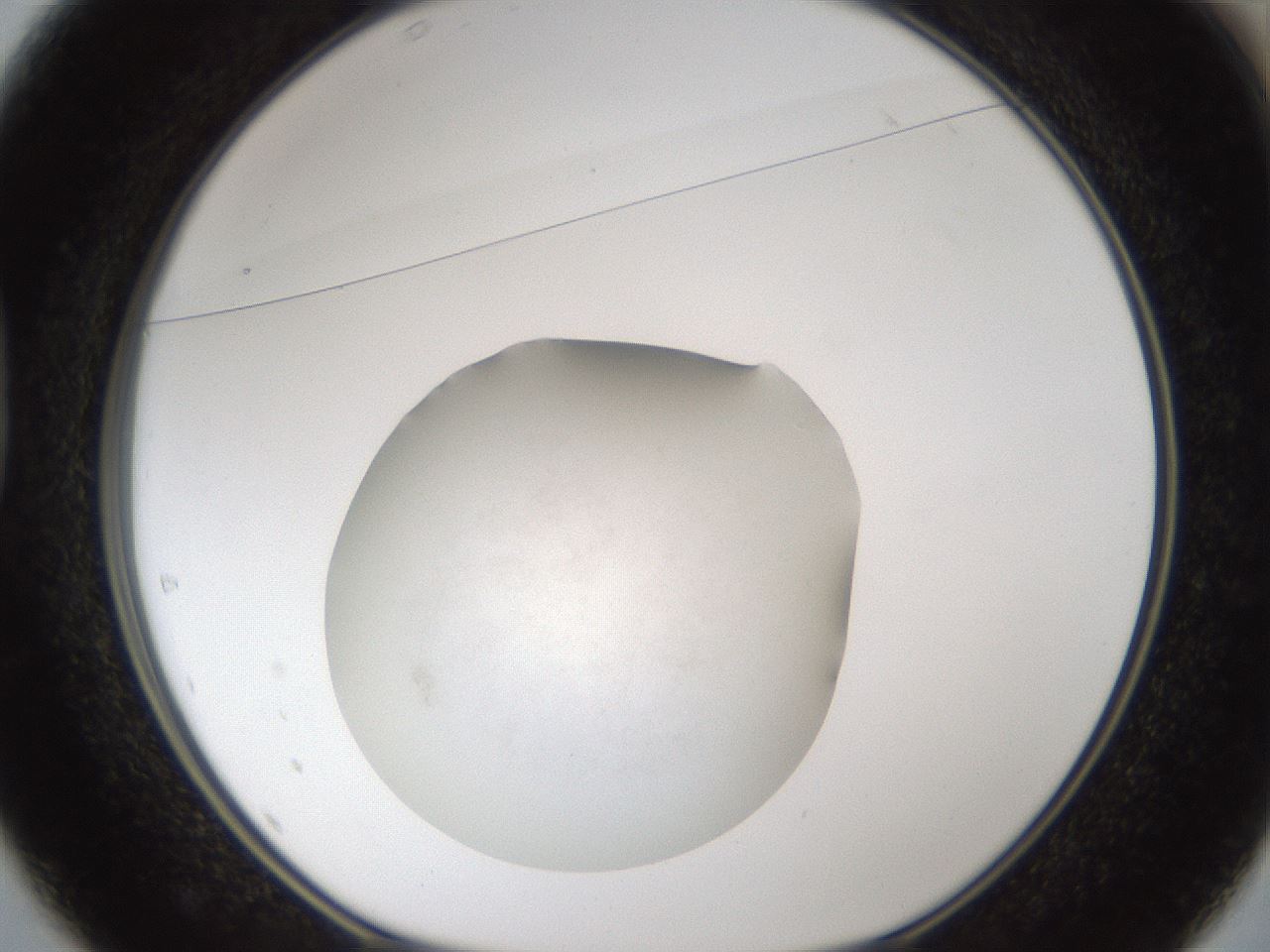 folderID286_plateID1286_batchID4278_wellNum37_profileID1_d1_r77596_ef.jpg