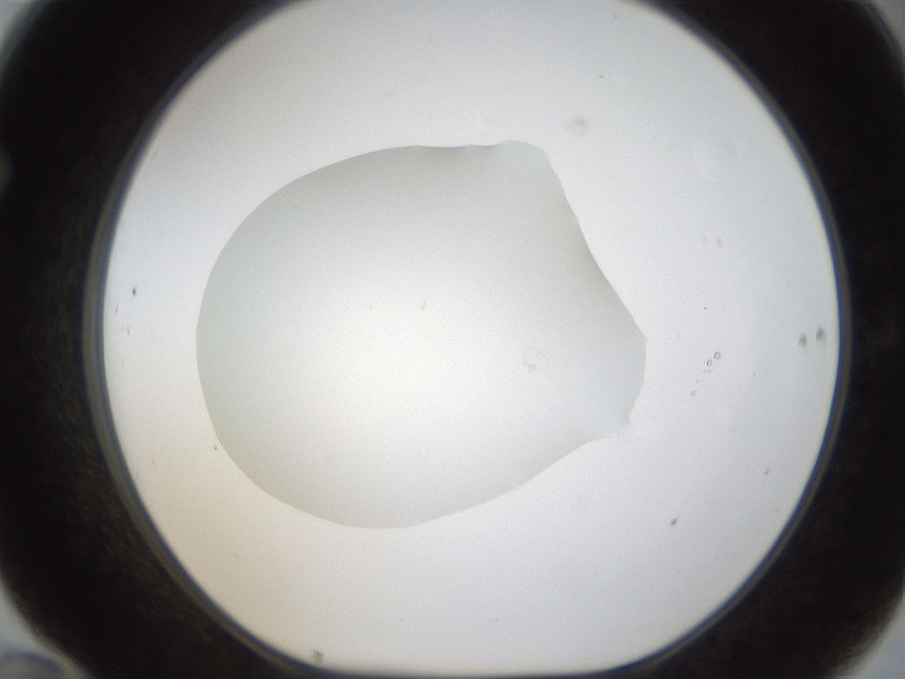folderID286_plateID1286_batchID4278_wellNum70_profileID1_d1_r77629_ef.jpg