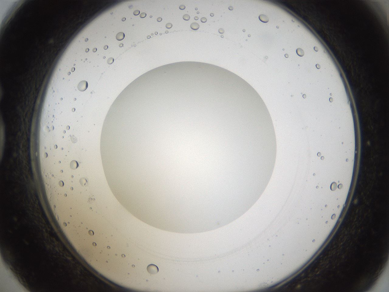 folderID286_plateID1286_batchID4278_wellNum73_profileID1_d1_r77632_ef.jpg