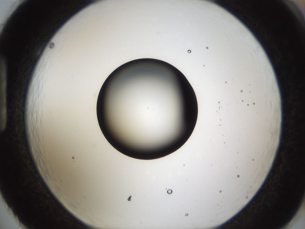 folderID286_plateID1286_batchID4278_wellNum86_profileID1_d1_r77645_ef.jpg