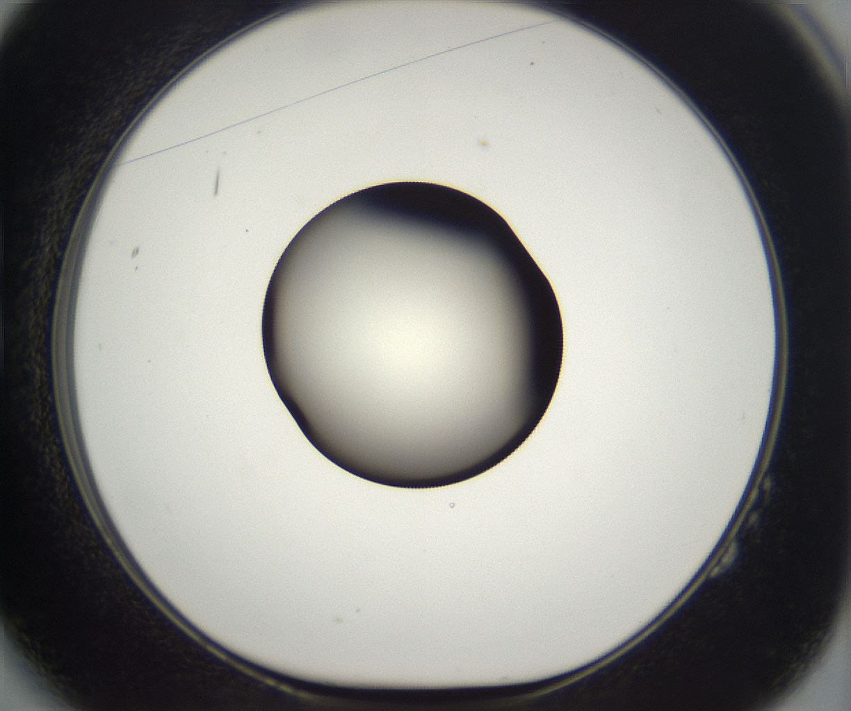 folderID286_plateID2286_batchID10841_wellNum14_profileID1_d1_r160475_ef.jpg