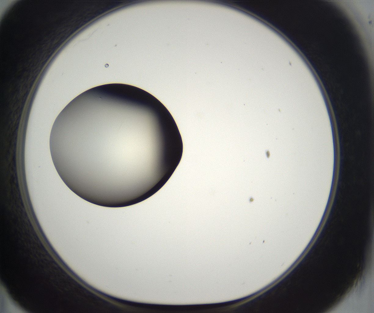 folderID286_plateID2286_batchID10841_wellNum35_profileID1_d1_r160496_ef.jpg