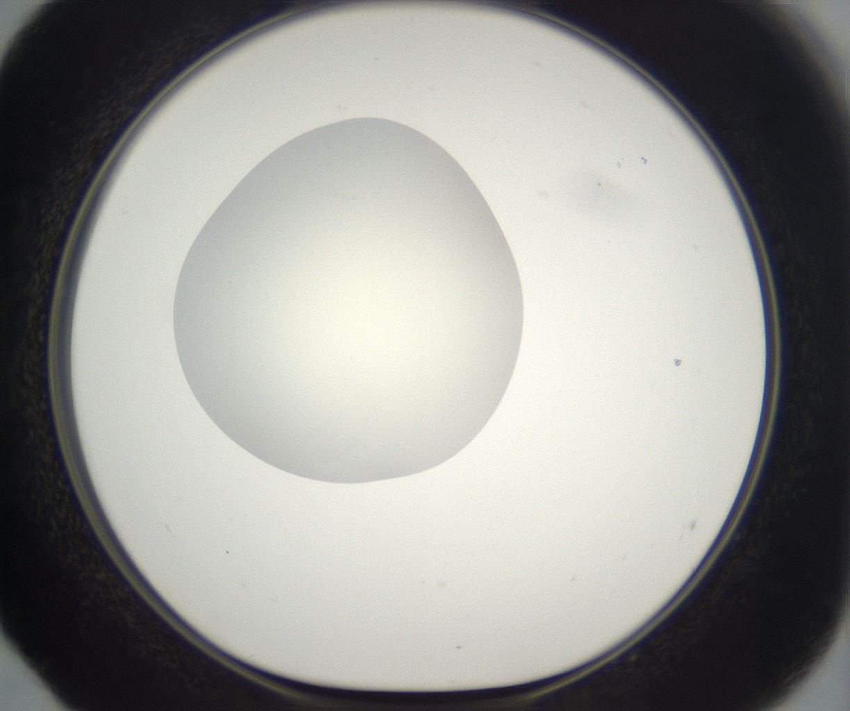folderID286_plateID2286_batchID10841_wellNum52_profileID1_d1_r160513_ef.jpg