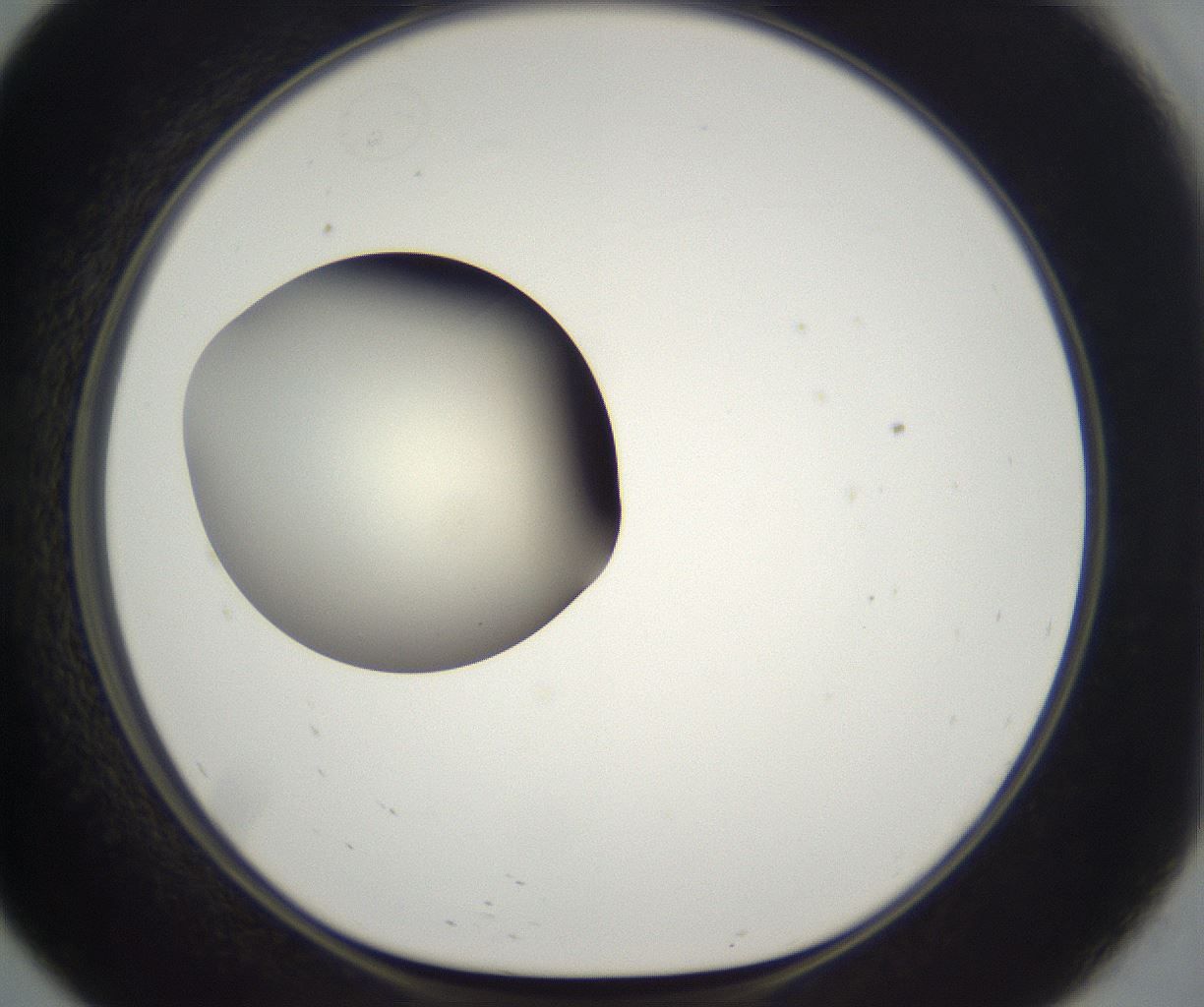 folderID286_plateID2286_batchID10841_wellNum57_profileID1_d1_r160518_ef.jpg