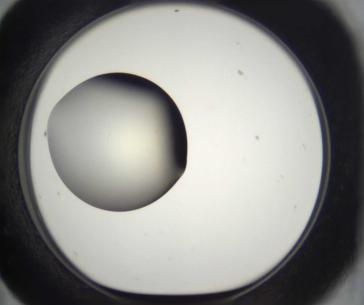 folderID286_plateID2286_batchID10841_wellNum59_profileID1_d1_r160520_ef.jpg
