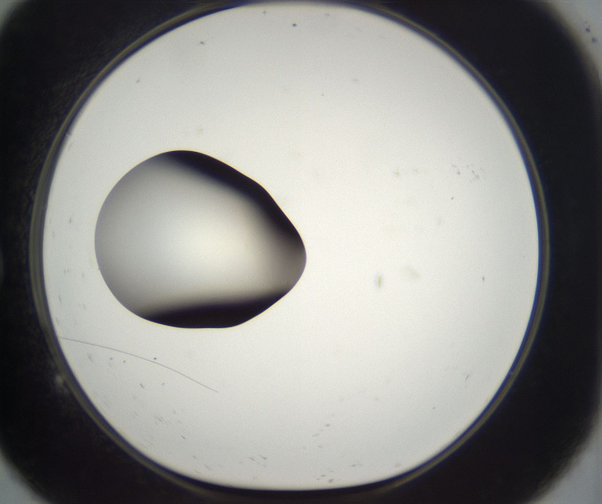 folderID286_plateID2286_batchID10841_wellNum9_profileID1_d1_r160470_ef.jpg