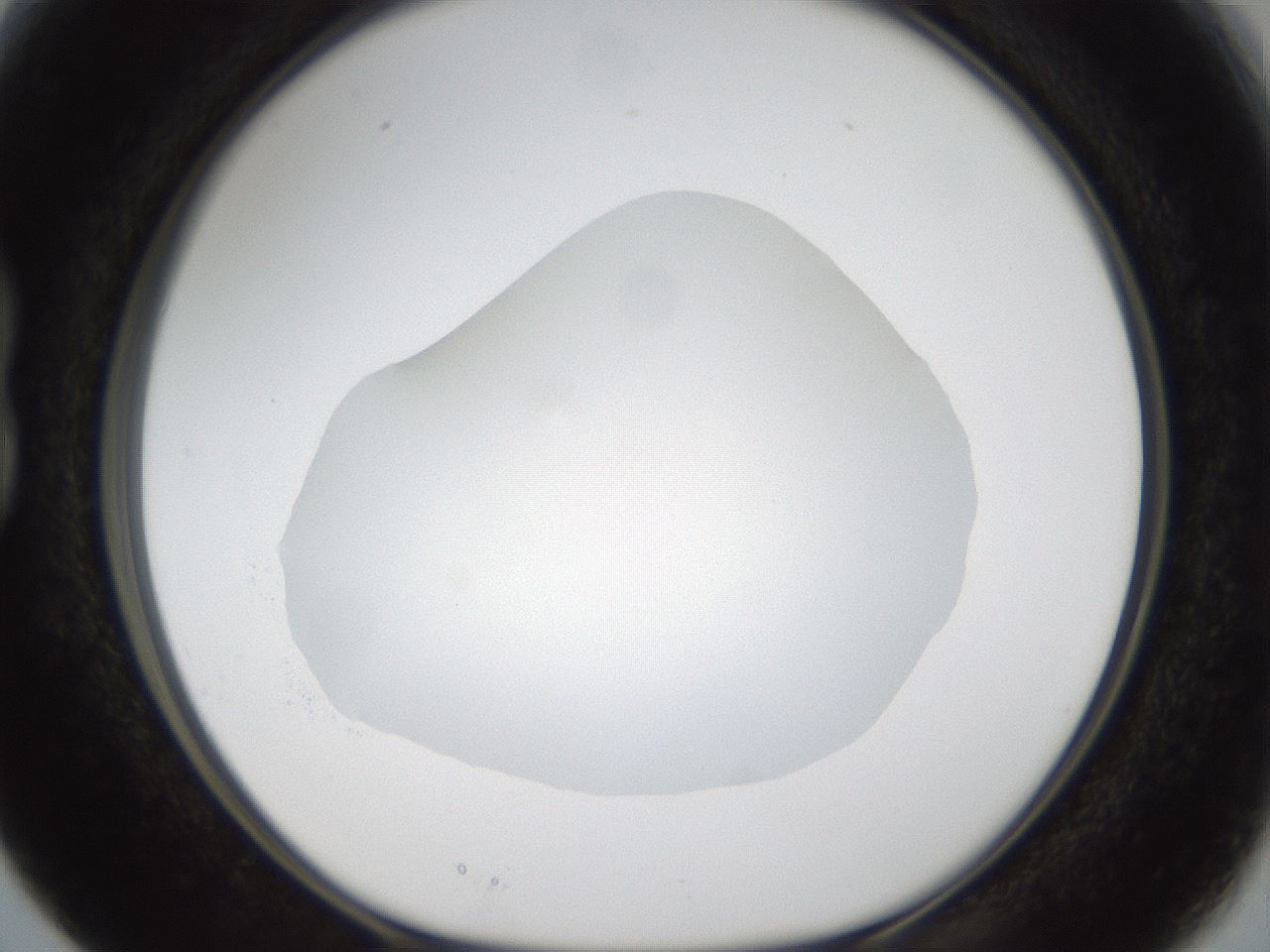 folderID287_plateID1287_batchID4273_wellNum15_profileID1_d1_r77190_ef.jpg