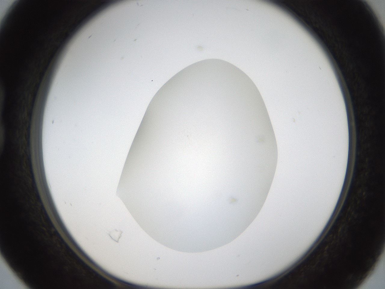 folderID287_plateID1287_batchID4273_wellNum16_profileID1_d1_r77191_ef.jpg