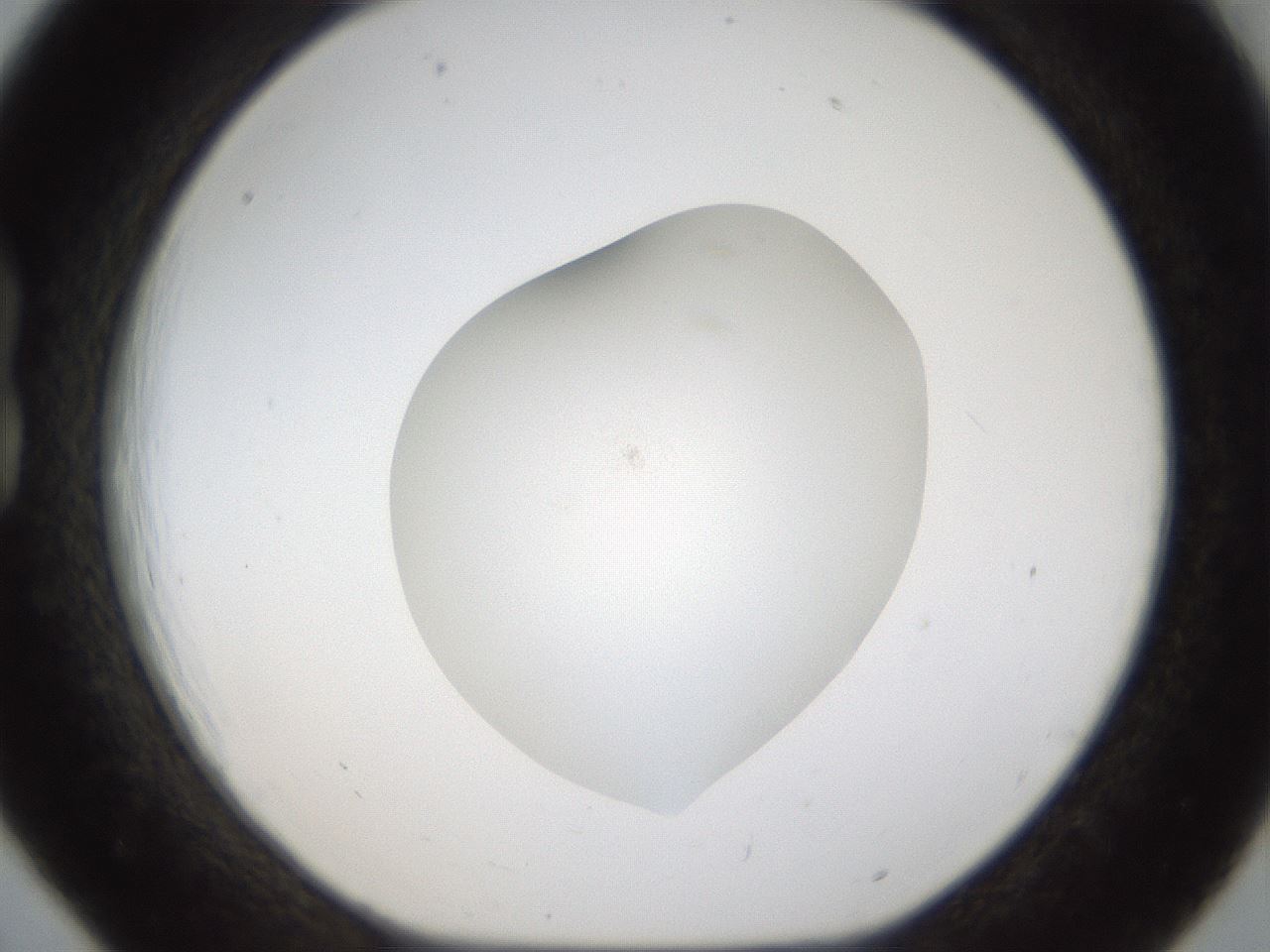 folderID287_plateID1287_batchID4273_wellNum18_profileID1_d1_r77193_ef.jpg