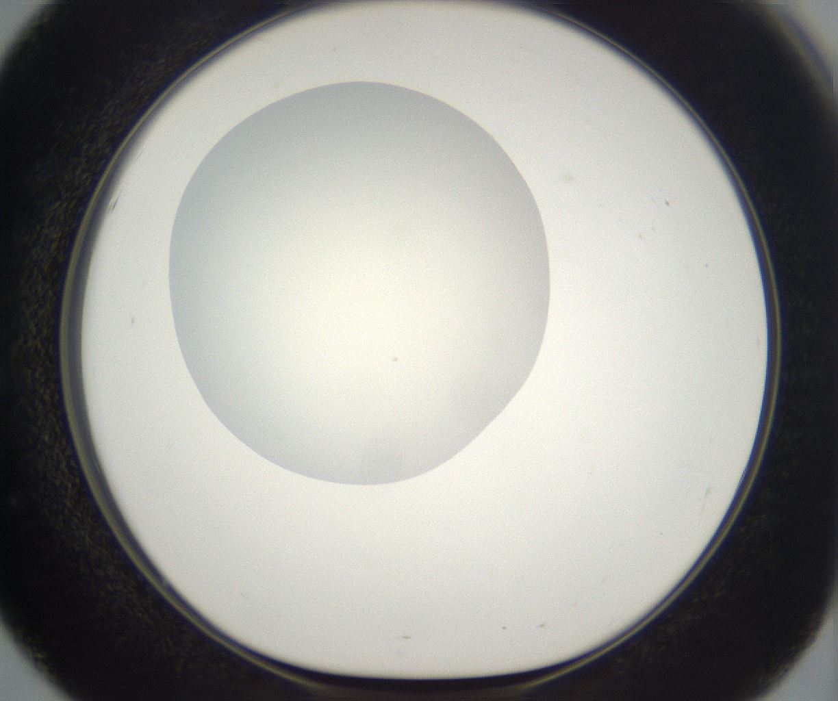 folderID286_plateID2286_batchID10841_wellNum51_profileID1_d1_r160512_ef.jpg