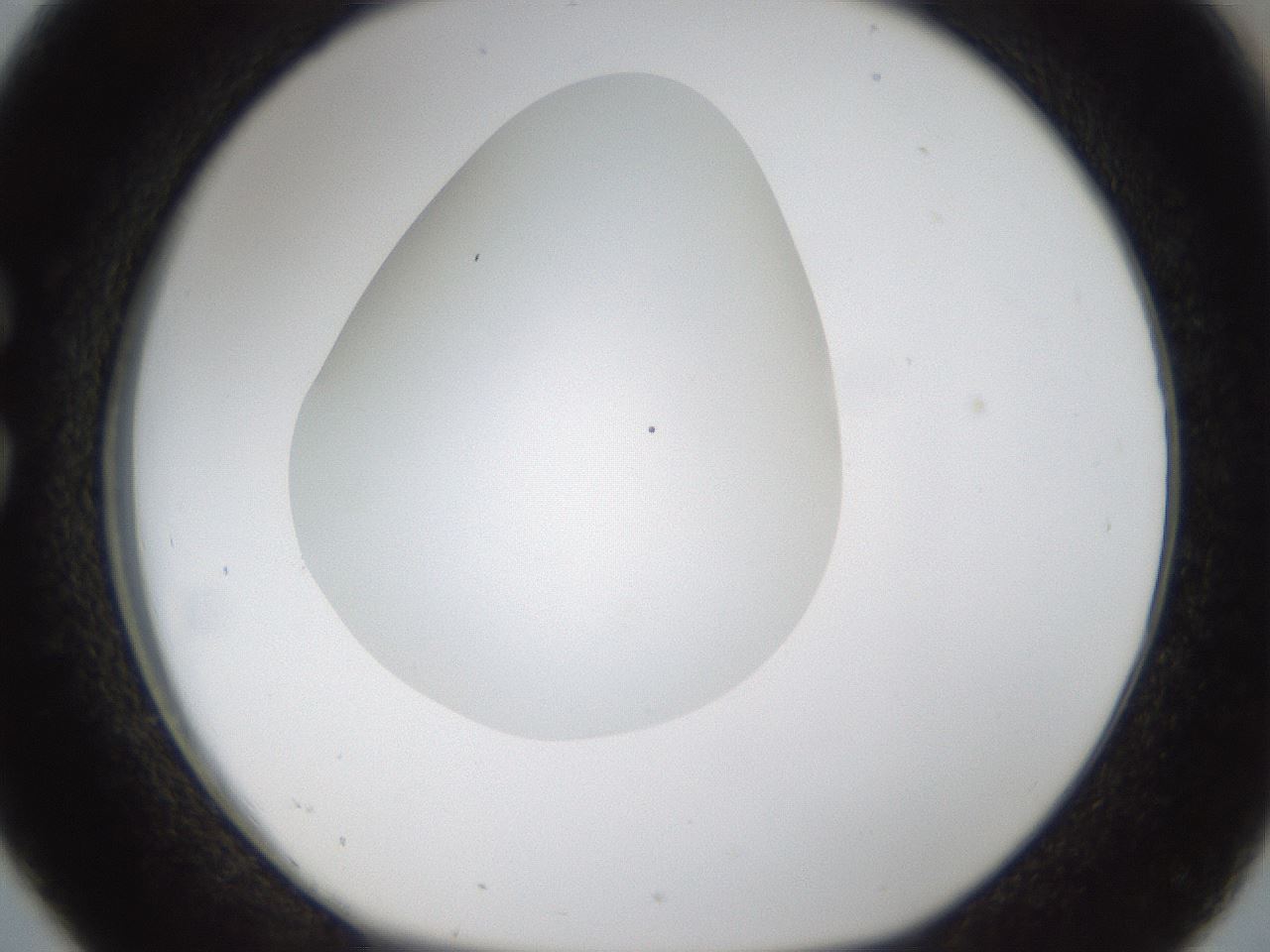 folderID287_plateID1287_batchID4273_wellNum26_profileID1_d1_r77201_ef.jpg