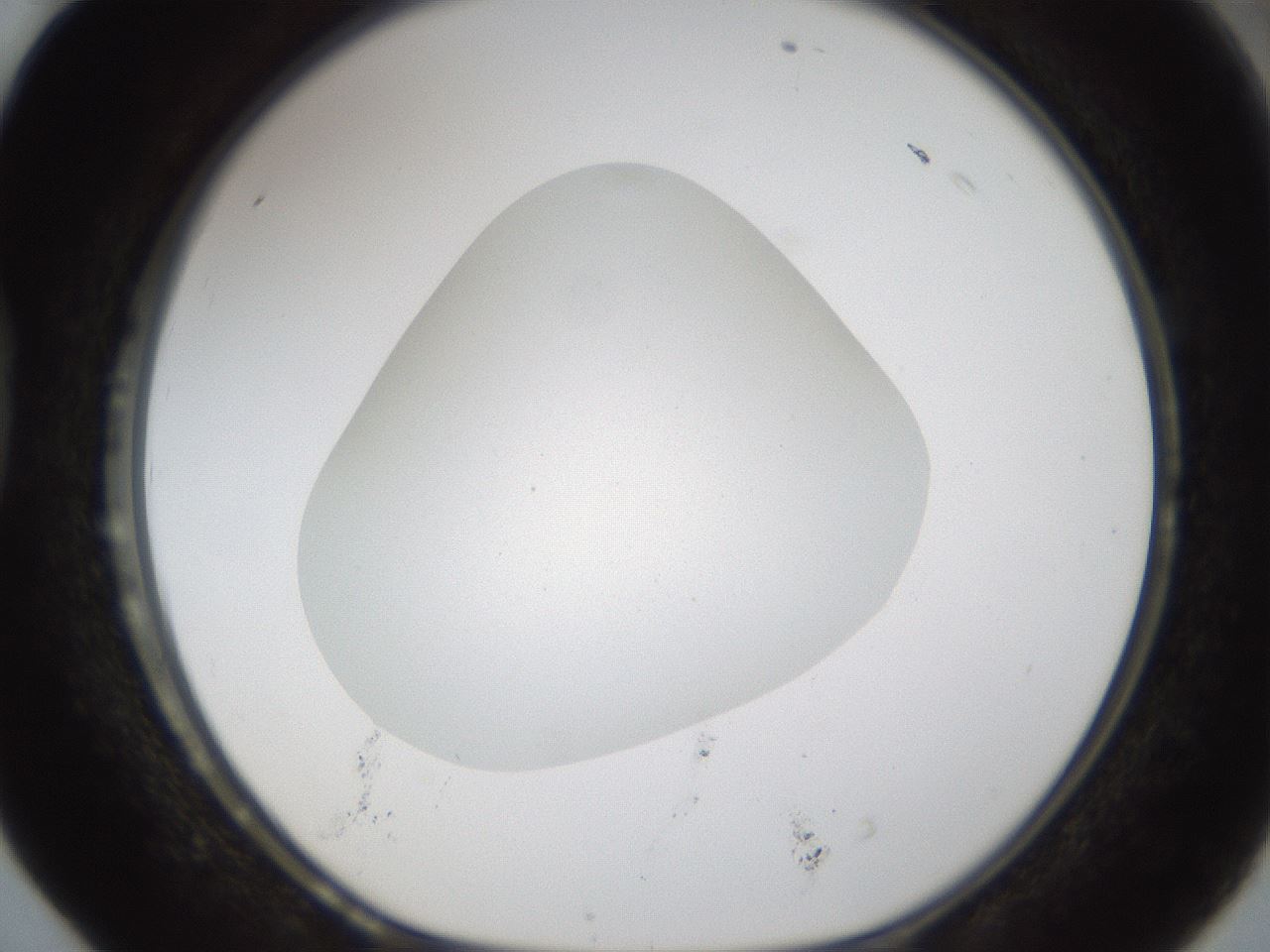 folderID287_plateID1287_batchID4273_wellNum40_profileID1_d1_r77215_ef.jpg