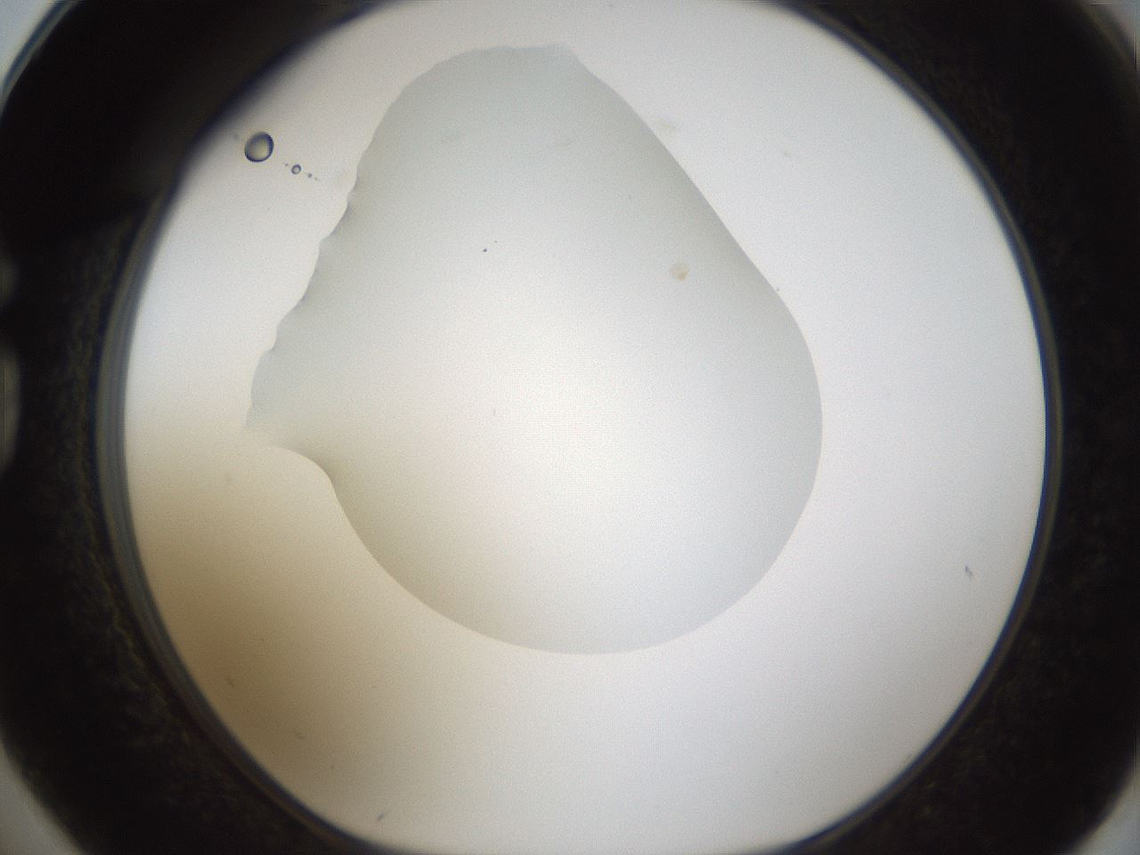 folderID287_plateID1287_batchID4273_wellNum74_profileID1_d1_r77249_ef.jpg