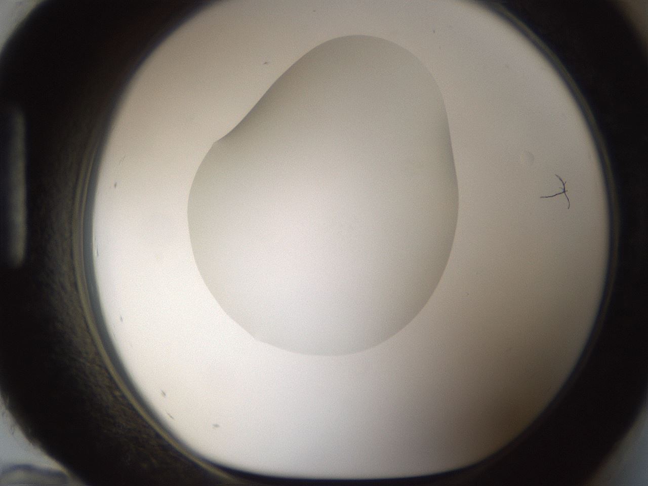 folderID287_plateID1287_batchID4273_wellNum96_profileID1_d1_r77271_ef.jpg