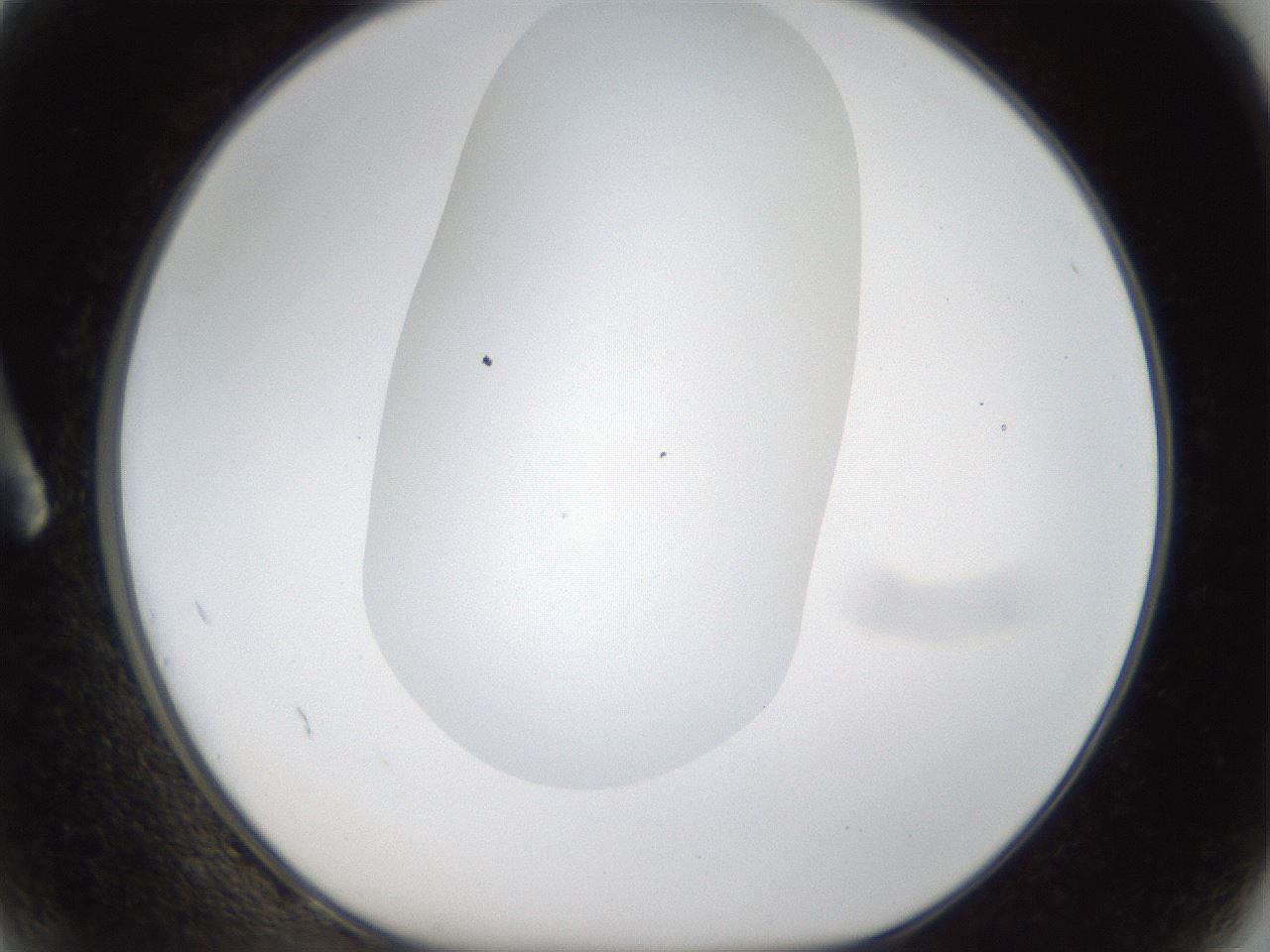 folderID287_plateID1287_batchID4273_wellNum2_profileID1_d1_r77177_ef.jpg