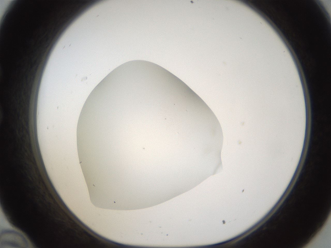 folderID287_plateID1287_batchID4273_wellNum34_profileID1_d1_r77209_ef.jpg