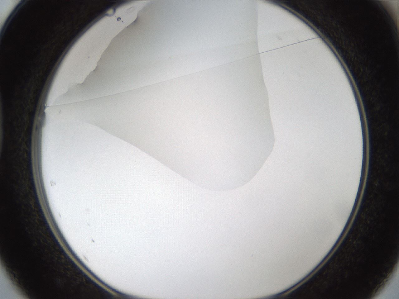 folderID287_plateID1287_batchID4273_wellNum37_profileID1_d1_r77212_ef.jpg