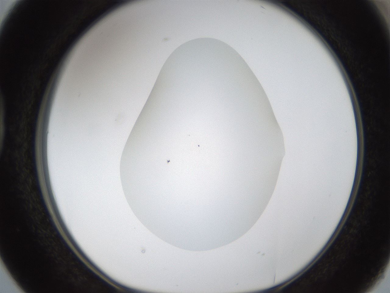 folderID287_plateID1287_batchID4273_wellNum38_profileID1_d1_r77213_ef.jpg