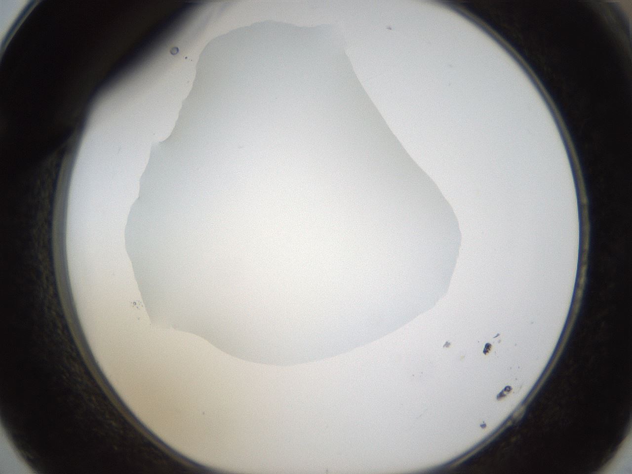 folderID287_plateID1287_batchID4273_wellNum62_profileID1_d1_r77237_ef.jpg