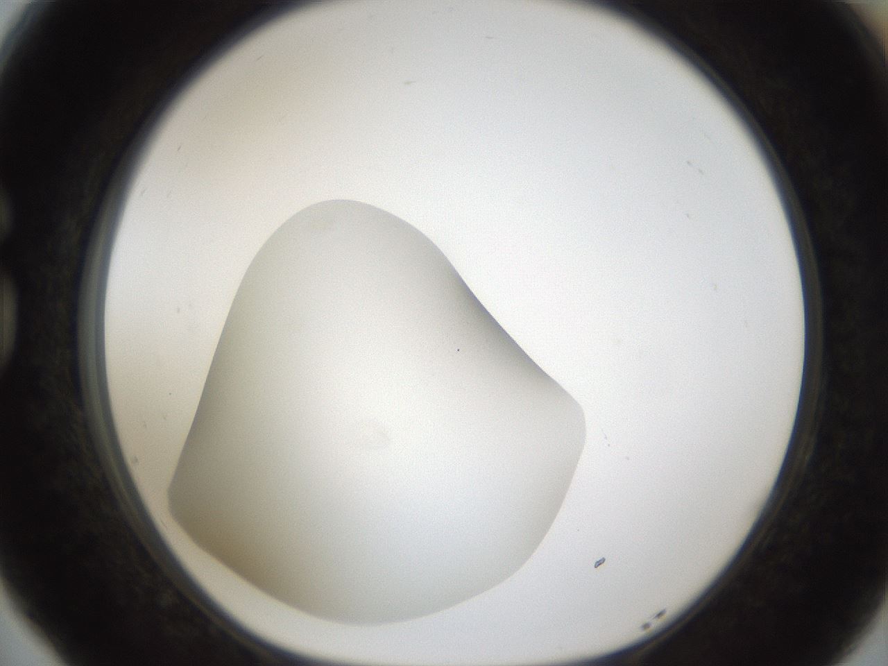folderID287_plateID1287_batchID4273_wellNum77_profileID1_d1_r77252_ef.jpg