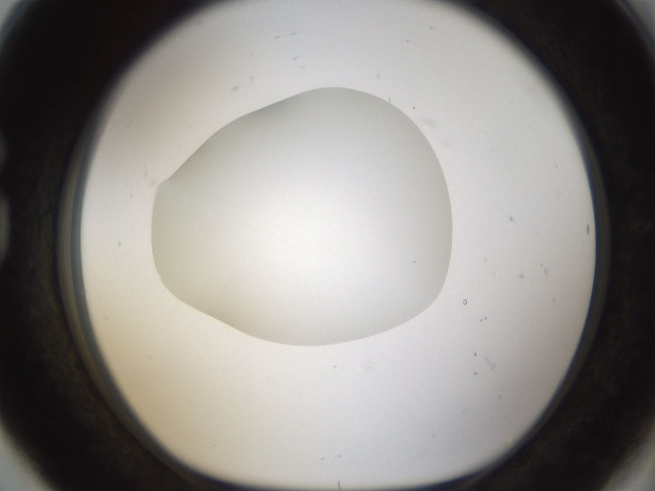 folderID287_plateID1287_batchID4273_wellNum80_profileID1_d1_r77255_ef.jpg