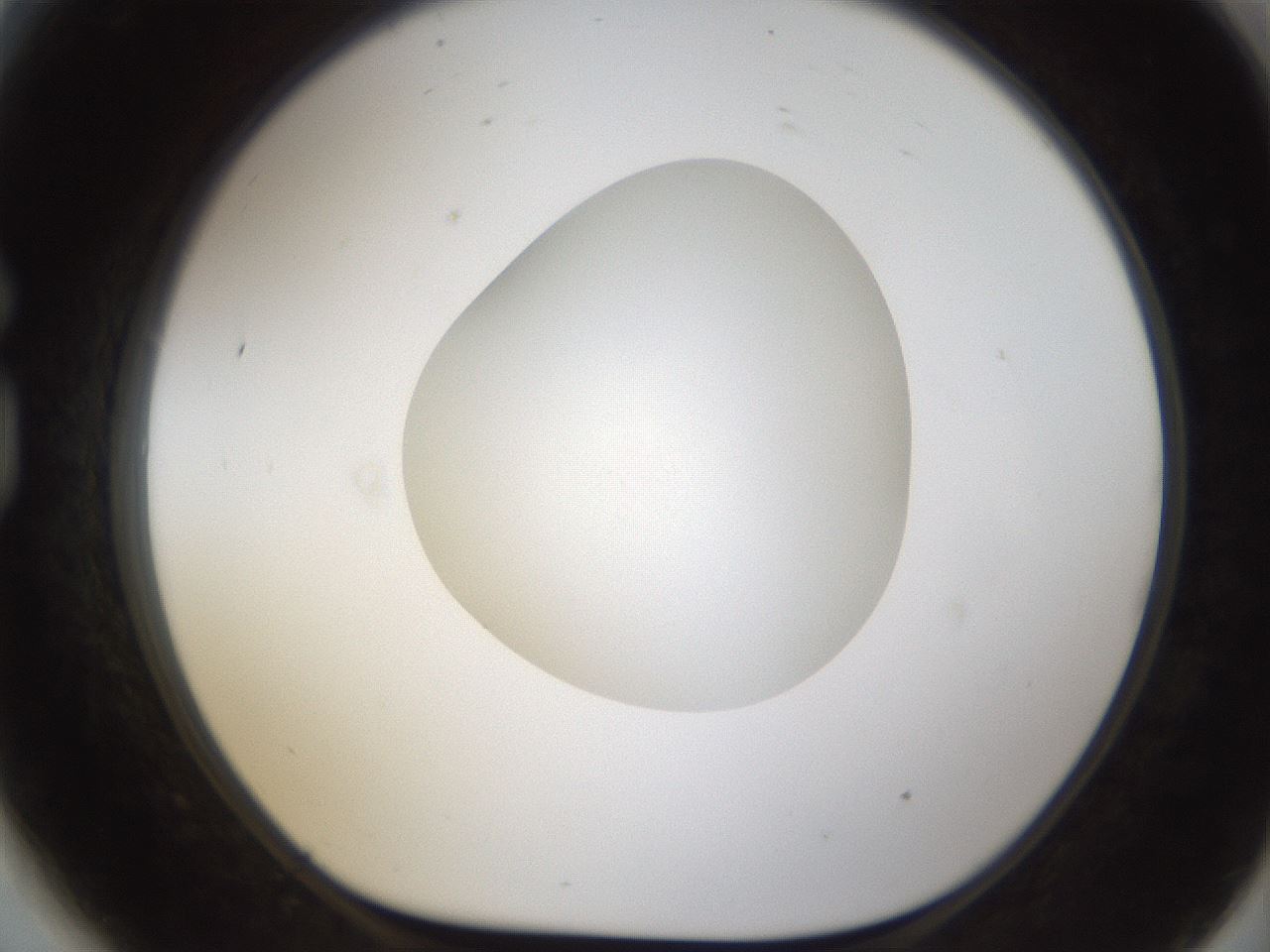 folderID287_plateID1287_batchID4273_wellNum81_profileID1_d1_r77256_ef.jpg