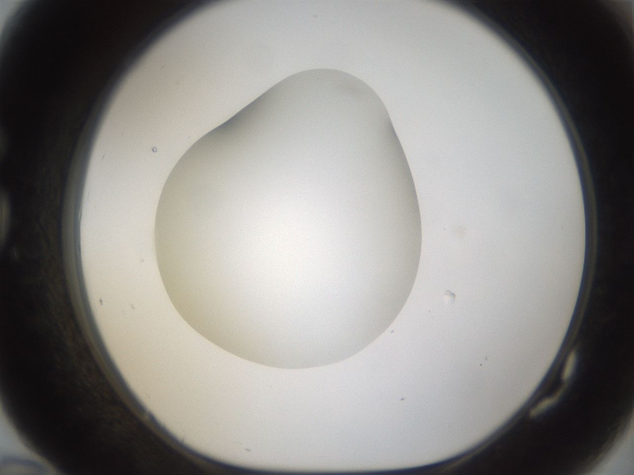 folderID287_plateID1287_batchID4273_wellNum82_profileID1_d1_r77257_ef.jpg