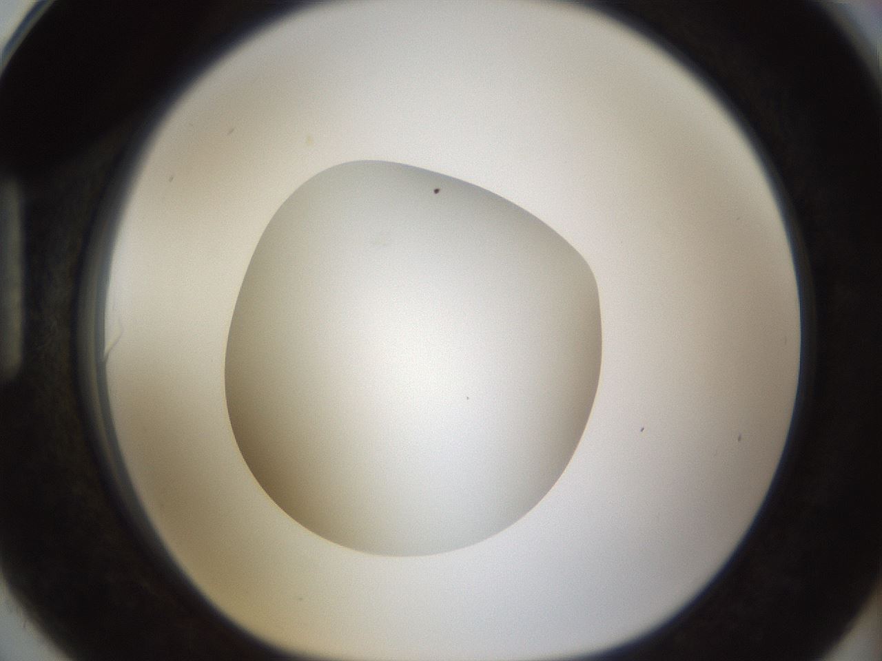 folderID287_plateID1287_batchID4273_wellNum90_profileID1_d1_r77265_ef.jpg