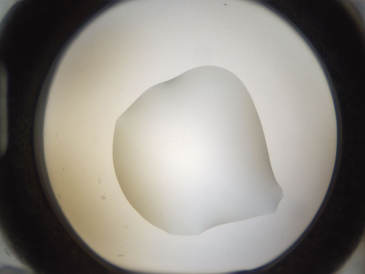 folderID287_plateID1287_batchID4273_wellNum94_profileID1_d1_r77269_ef.jpg