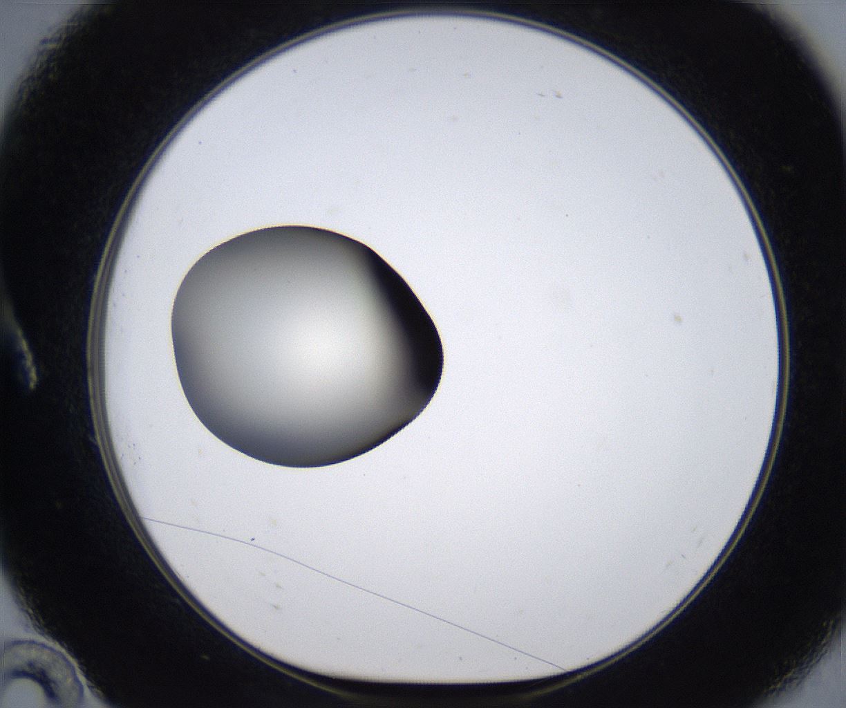 folderID287_plateID2287_batchID10814_wellNum10_profileID1_d1_r159799_ef.jpg