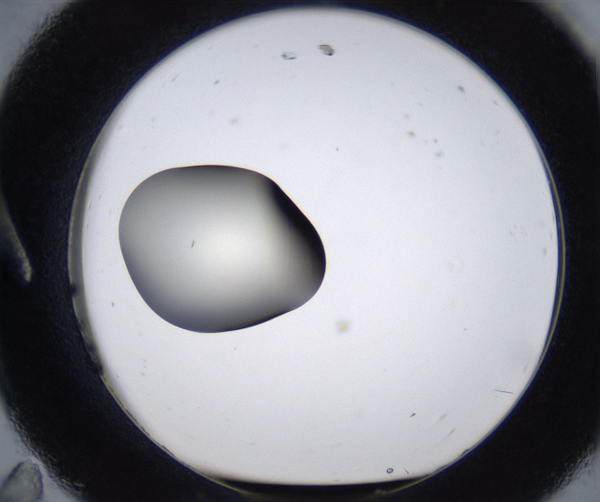 folderID287_plateID2287_batchID10814_wellNum11_profileID1_d1_r159800_ef.jpg