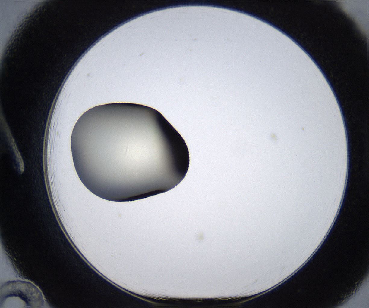 folderID287_plateID2287_batchID10814_wellNum12_profileID1_d1_r159801_ef.jpg