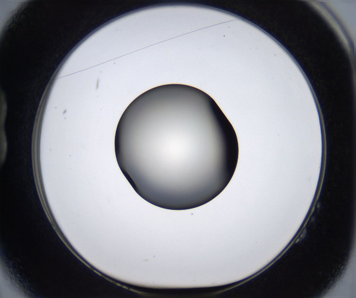 folderID287_plateID2287_batchID10814_wellNum14_profileID1_d1_r159803_ef.jpg